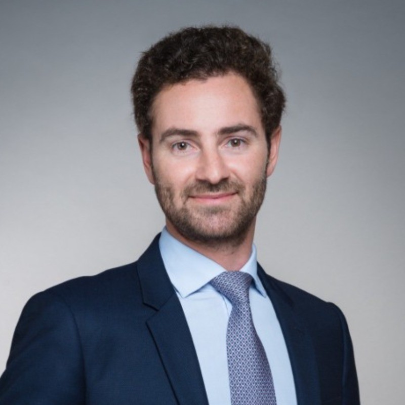 Geoffroy Manet, Scalian