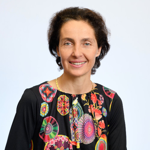 Sylvie Perrin, De Gaulle Fleurance & Associés