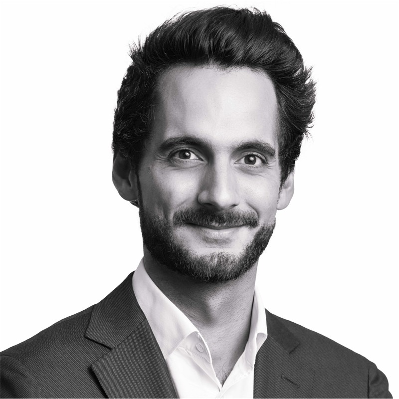 Pierre-Alexandre Schnyder, Scotto Partners