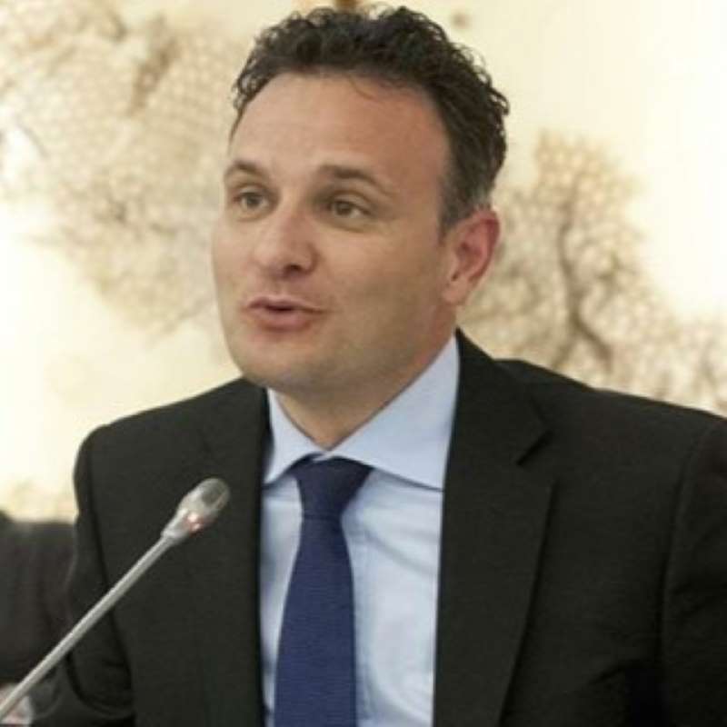 Stéphane Salini, Salini Immobilier