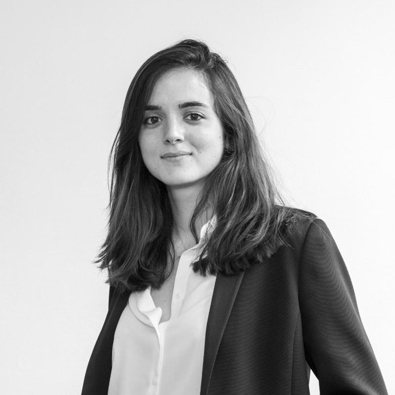 Inès Haack, Extendam