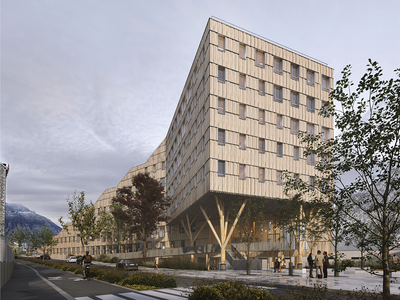 L'immeuble Wood à Grenoble