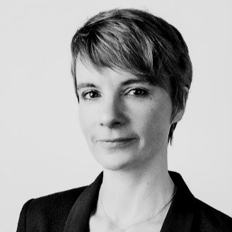 Anne Segond, Satys Group