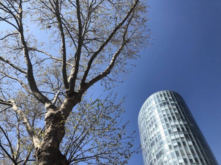 Avec la crise, les arbres vont arrêter de monter jusqu'au ciel. Avec la crise, les arbres vont arrêter de monter jusqu'au ciel.