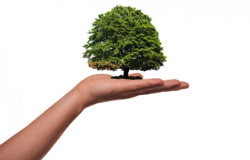 Growth-Fund-UNE_reference