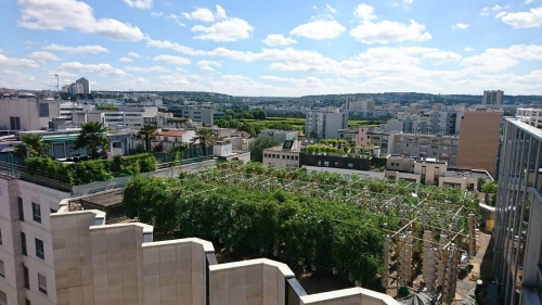 Le projet Agripolis financé par WiSEED. © DR Le projet Agripolis financé par WiSEED. © DR