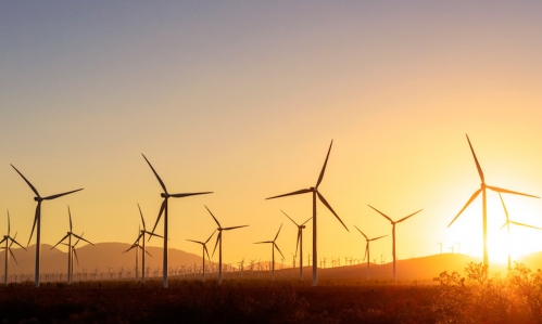 Le projet d'Eco Delta à Artigues. DR