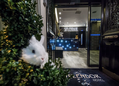 L'hôtel 3* Le Splendor. 