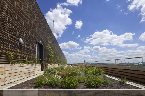 La terrasse du Pulse d'Icade.