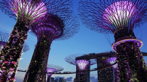 Le jardin de la baie à Singapour, où s'implante désormais La Française