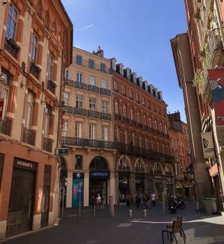 Toulouse ou la Ville Rose