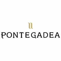 PONTEGADEA INMOBILIARIA PONTEGADEA INMOBILIARIA