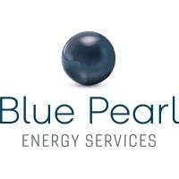 Capital Développement BLUE PEARL ENERGY SERVICES lundi 2 novembre 2020 Capital Développement BLUE PEARL ENERGY SERVICES lundi 2 novembre 2020