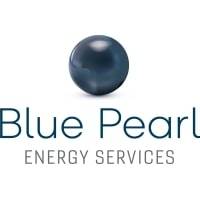 Capital Développement BLUE PEARL ENERGY SERVICES lundi  2 novembre 2020