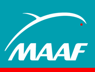 MAAF ASSURANCE