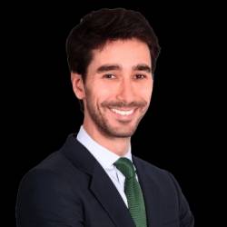 Alexandre Silva-Delaquaize