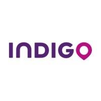 INDIGO GROUP