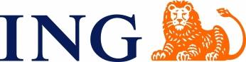 ING REAL ESTATE (REIM)