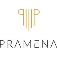 PRAMENA INVESTMENT