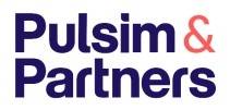 PULSIM & PARTNERS PULSIM & PARTNERS