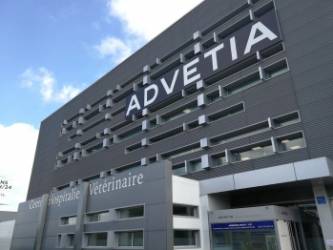 Transaction CHV ANICURA ADVETIA (9 AVENUE LOUIS BREGUET, 78140 VÉLIZY-VILLACOUBLAY) jeudi 18 juin 2026 Transaction CHV ANICURA ADVETIA (9 AVENUE LOUIS BREGUET, 78140 VÉLIZY-VILLACOUBLAY) jeudi 18 juin 2026